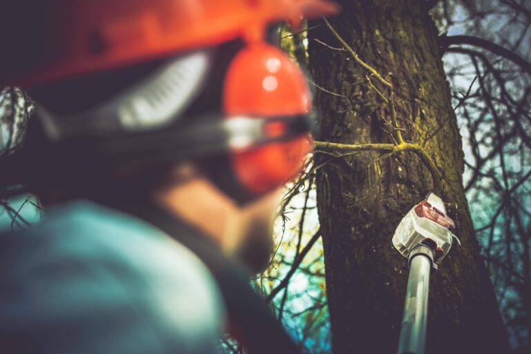 Yes, we offer emergency tree removal and storm clean-up services. If a tree has fallen or is posing a danger to your property, our team is available to respond quickly and safely to address the situation.